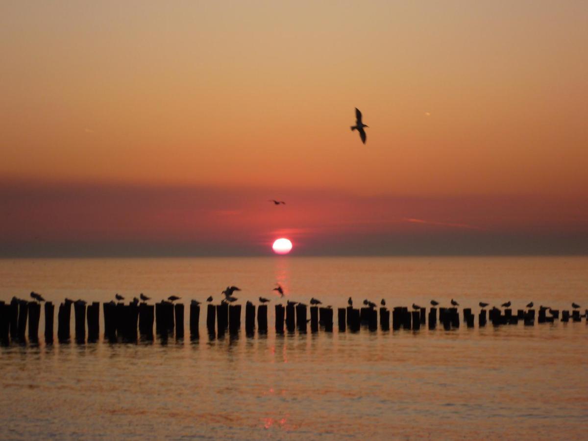 Vakantiehuis Domburg Do12 외부 사진
